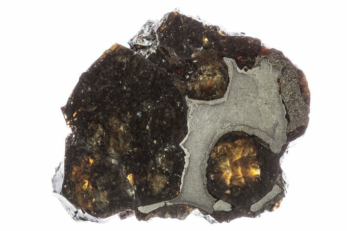 Polished Sericho Pallasite Meteorite ( g) Slice - Kenya #242924